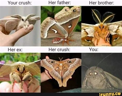 Your Crush Her Father Her Brother Ifunny Brazil