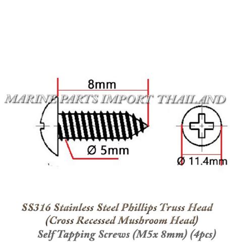 Ss Stainless Steel Phillips Truss Head Cross Recessed Mushroom Head