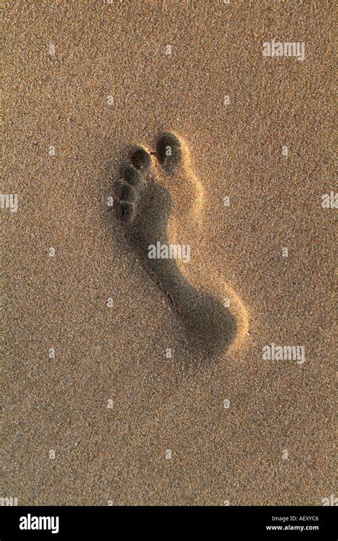 Footprint On Sand At Beach Stock Photo Alamy