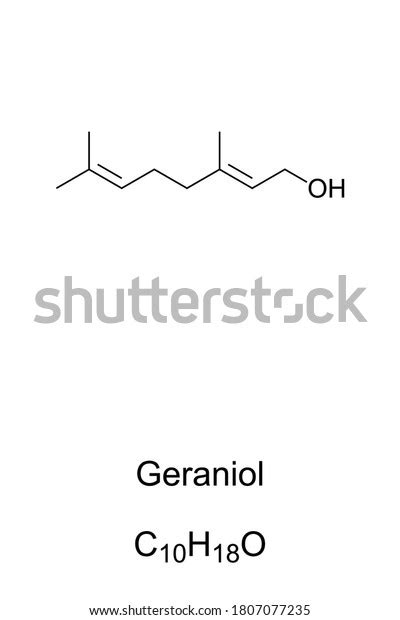 Geraniol Chemical Structure Primary Component Rose Stock Vector ...