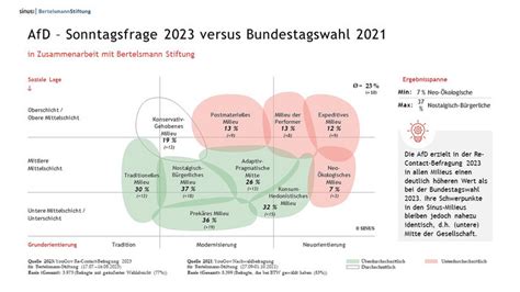 Aus welchen Milieus stammen AfD Wähler marktforschung de