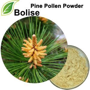 Pine Pollen Powder Suppliers,Manufacturers,Exporters from Bolise