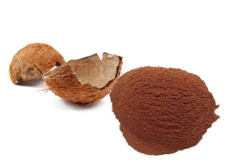 Coconut Shell Powder At Best Price In Coimbatore Tamil Nadu Peace