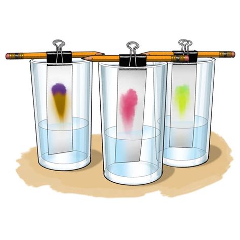 Chromatography Be A Color Detective Light Science Experiments Light Science Chromatography