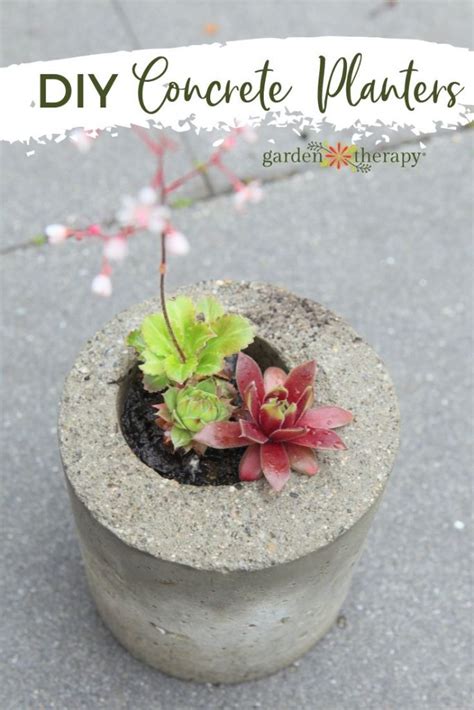 30 DIY Concrete Planters - Organic, High End, And They Last Forever