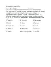 Kami Export Unit 1 Lesson 2 Bone Markings ExerciseMod 1 Pdf Bone