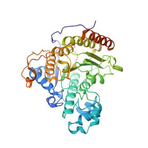 Rcsb Pdb 8hxx Cryo Em Structure Of The Histone Deacetylase Complex Rpd3s