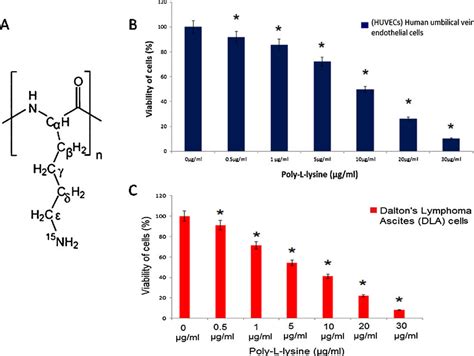 Chemical Structure Of Poly L Lysine Pll A Pll Inhibits Cell