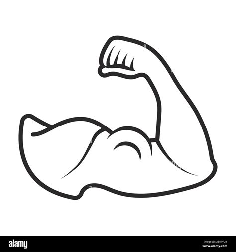 The Human Arm Muscle Strength Or Biceps Brachii Line Art Icon Stock