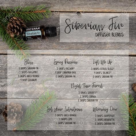 Siberian Fir Diffuser Blends On Rustic Wood With Greenery In 2022