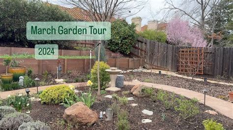 March Garden Tour 2024 California Garden Gardening Zone9b YouTube