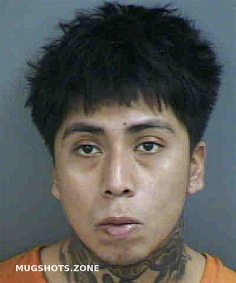 GASPAR JOSUE 08 15 2023 Collier County Mugshots Zone