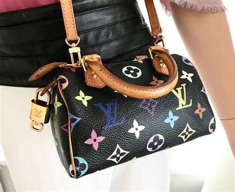 Louis Vuitton Speedy Multicolor | semashow.com