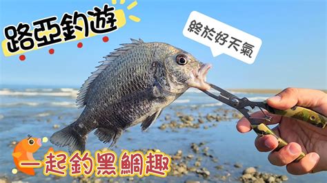 🐟一起來海邊釣黑鯛吧🙂🐟 路亞 假餌 岸拋 根魚 米諾 黑鯛 Youtube