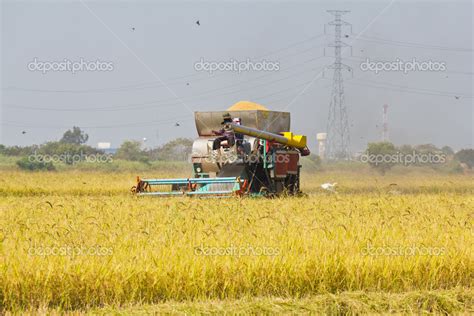 Rice combine harvester — Stock Photo © teptong #36936279