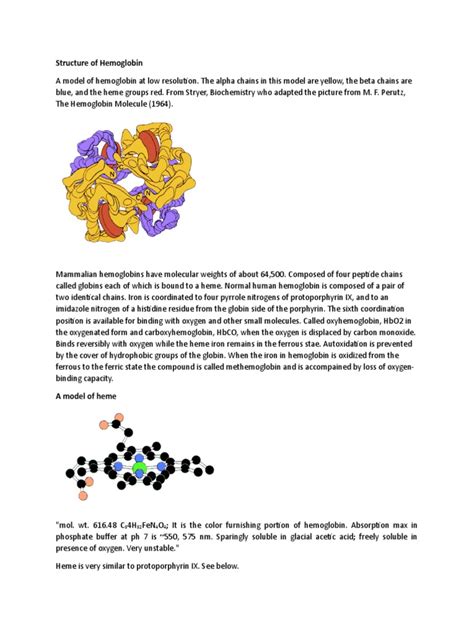 Structure of Hemoglobin | PDF | Hemoglobin | Blood