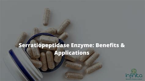 Serratiopeptidase Enzyme Benefits And Applications Infinita Biotech