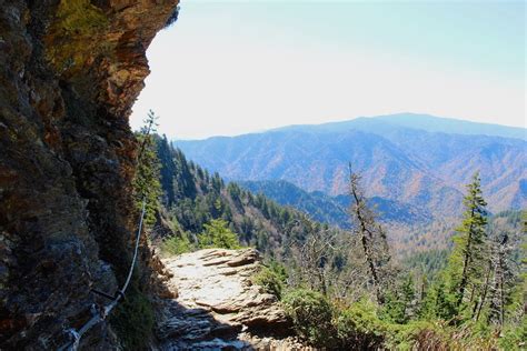 7 Of The Best Smoky Mountain Hiking Trails [Easy To Moderate]