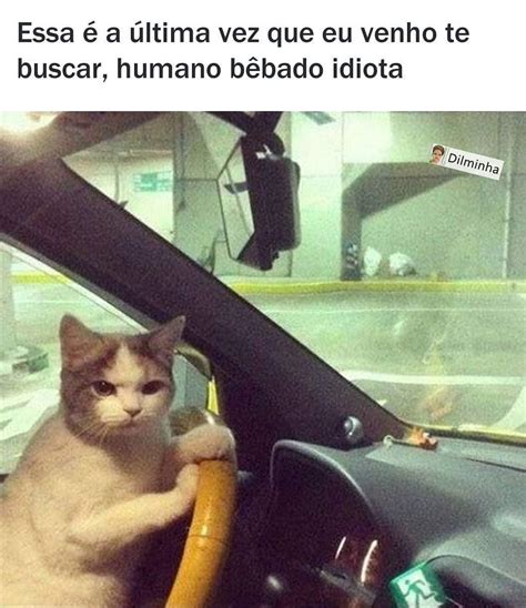 Essa é a última vez que eu venho te buscar humano bêbado idiota Memes