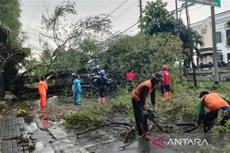 Belasan Pohon Tumbang Akibat Angin Dan Hujan Di Solo Republika Online