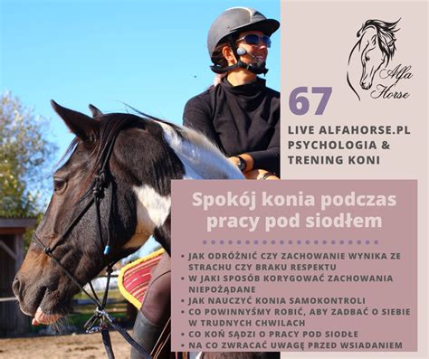 Live 67 Spokój konia w pracy pod siodłem Szkoła Alfa Horse