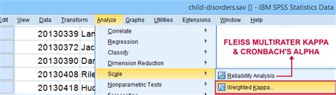 Cohens Kappa Statistics The Complete Guide