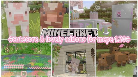 6 Cutecore And Lovely Addons 🎀彡 ꒱ Very Cute Addon For Minecraft Pe 1 20 ｡⁠ ⁠♡ Youtube