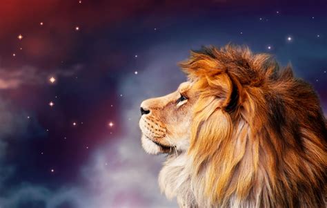 Leo Color Guide: Colors of the Leo Zodiac Sign | LeadByStars