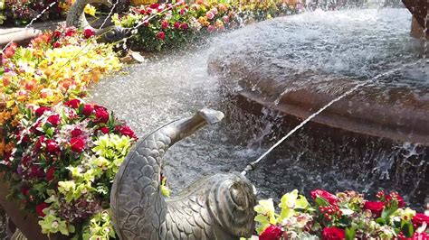 Beautiful Fountain Decorated With Flowers 21837103 Stock Video At Vecteezy