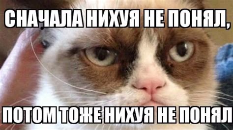 Ответы Mail: Индивидуальные мочалки для тела после использования ...