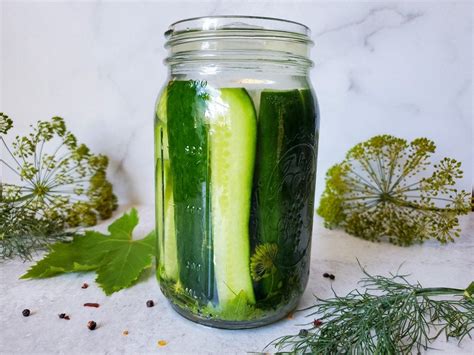 Fermented Pickles Recipe Easy Crunchy Brined Cucumber Dill Pickles