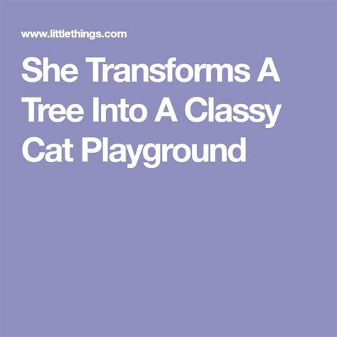 She Transforms A Tree Into A Classy Cat Playground Cat Playground