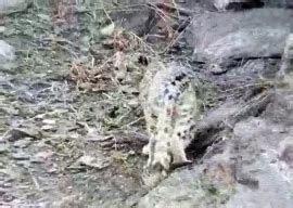 Pakistan Blocks Access To Teen Sex Ed Site