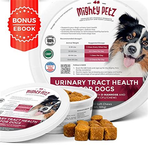 dog uti treatments   top products rated dog urinary tract infections acuteaday
