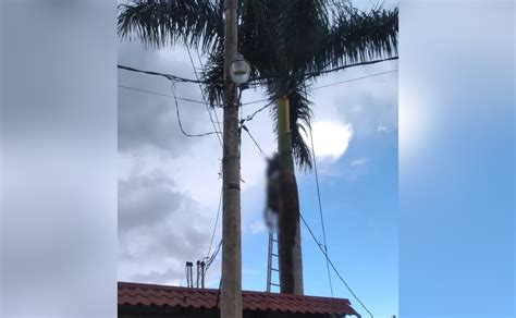 Obrero muere electrocutado mientras cortaba una palmera en Nindirí La