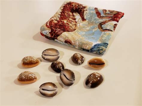 Cowrie Shell Divination Pagans And Witches Amino