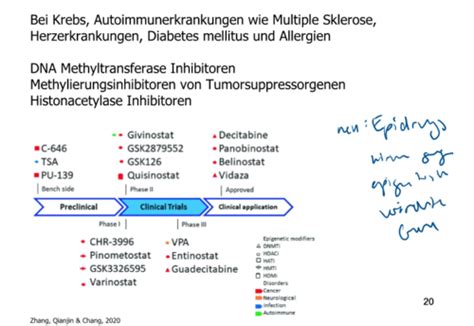 VL6 Epigenetik CRISPR Cas II Biosignale Flashcards Quizlet