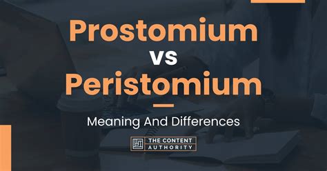 Prostomium vs Peristomium: Meaning And Differences