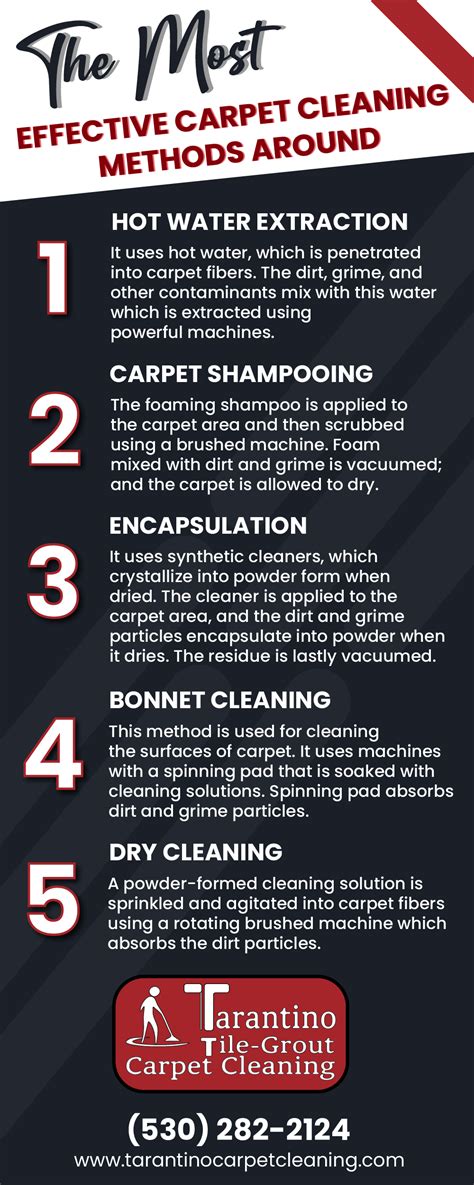 The Most Effective Carpet Cleaning Methods Around [infographic ...