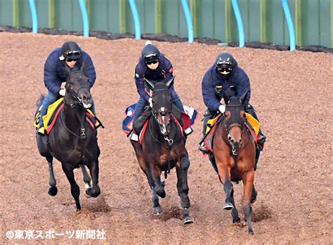 東スポ 写真部 On Twitter 2022年4月6日 競馬 調教 追い切り プレサージュリフト （中） 茨城県美浦村・美浦トレセン