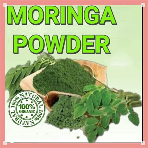 Organic Moringa Oleifera Leaf Powder Premium Quality Wholesale Price