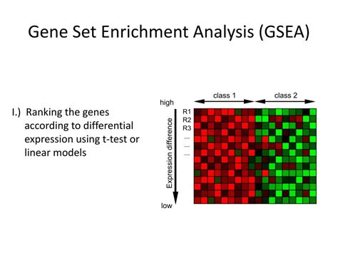 Ppt Gene Set Analysis Using R And Bioconductor Powerpoint