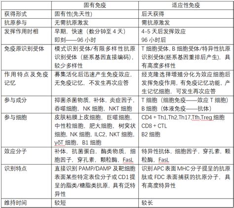 医学免疫学复习题（48道简答） 哔哩哔哩