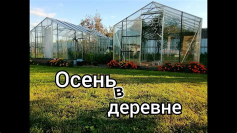 ОСЕНЬ в деревне/ Мы дома/ Сад и огород/ Теплицы/ Обзор/ #village # ...