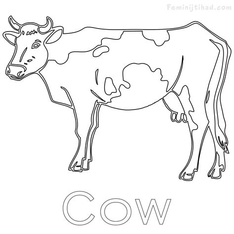 Cow Coloring Pages Free Printable