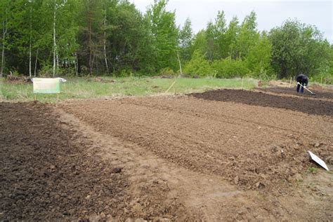 Изготовление и поставка грунта, сыпучих строительных материалов, семян ...