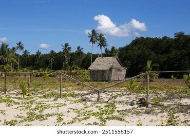 341 Nipa Hut Philippines Images Stock Photos And Vectors Shutterstock