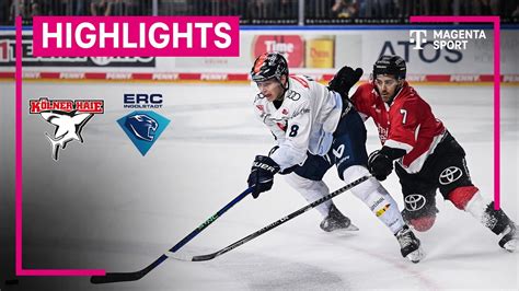 K Lner Haie Erc Ingolstadt Highlights Penny Del Magenta