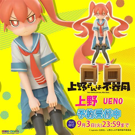 How Clumsy you are, Miss Ueno – Ueno 1/8 PMMA(PVC-L) figure by Fots ...