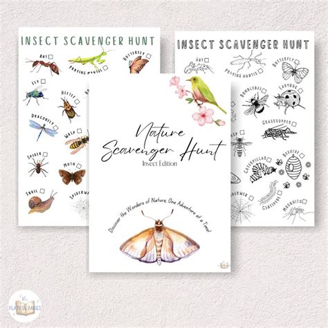 Insectnature Scavenger Hunt Printable Spring Bugs Outdoor Scavenger